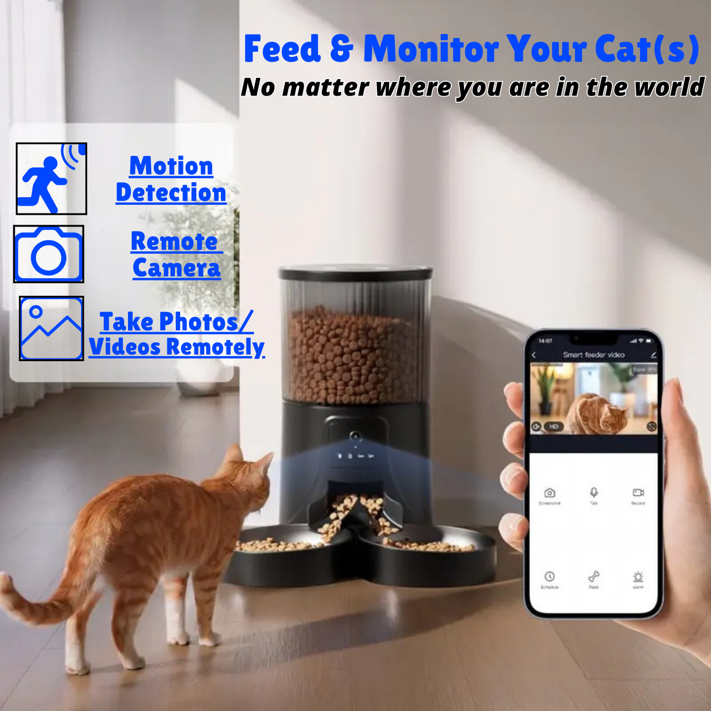 Automatic Cat Feeder